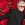 Pedro Almodóvar: Seine Filme und deren literarische und soziopolitische Dimension